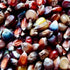 Cassiopeia Popcorn